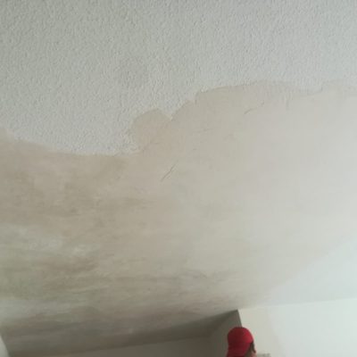 DURANTE LOS TRABAJOS