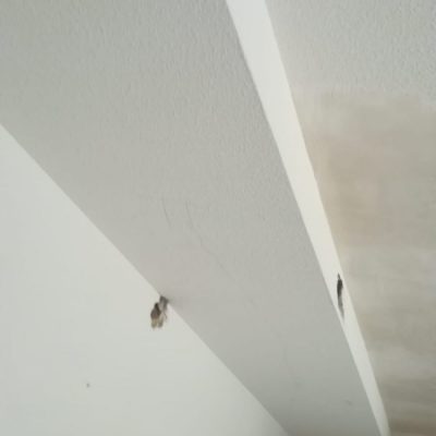 DURANTE LOS TRABAJOS